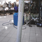 Farm in Mordovia, 5000 liters of milk a day